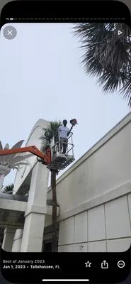 Robinson Lawn Care Solutions Logo