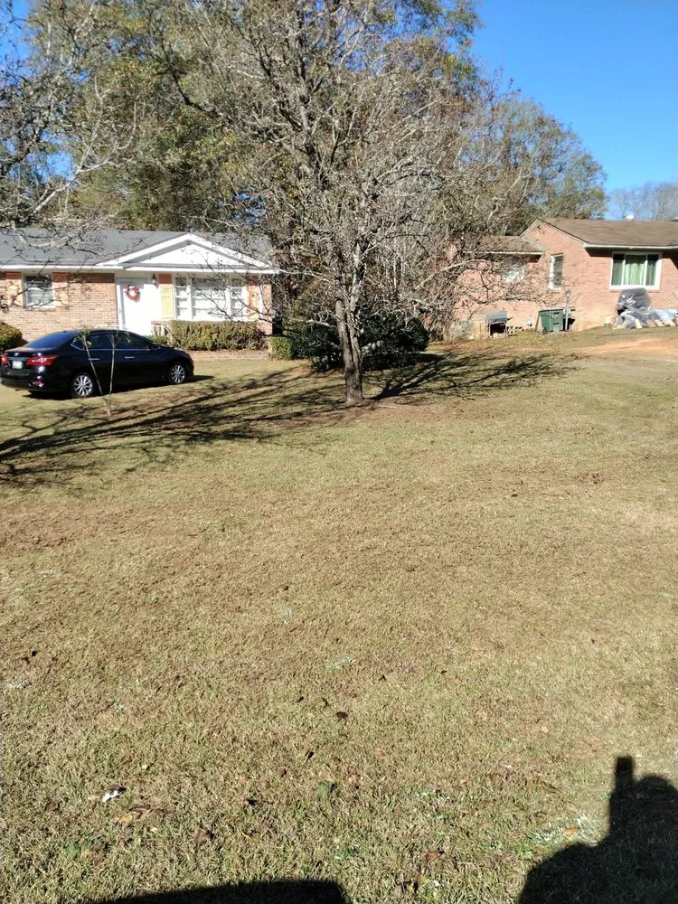 Expert garden landscaping experts serving Orangeburg, SC - Robinson Lawn Service