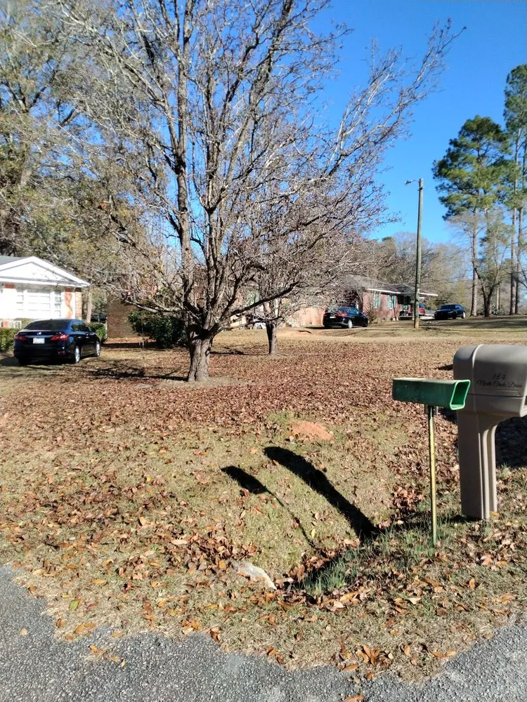 Local outdoor landscaping near you across Orangeburg, SC - Robinson Lawn Service