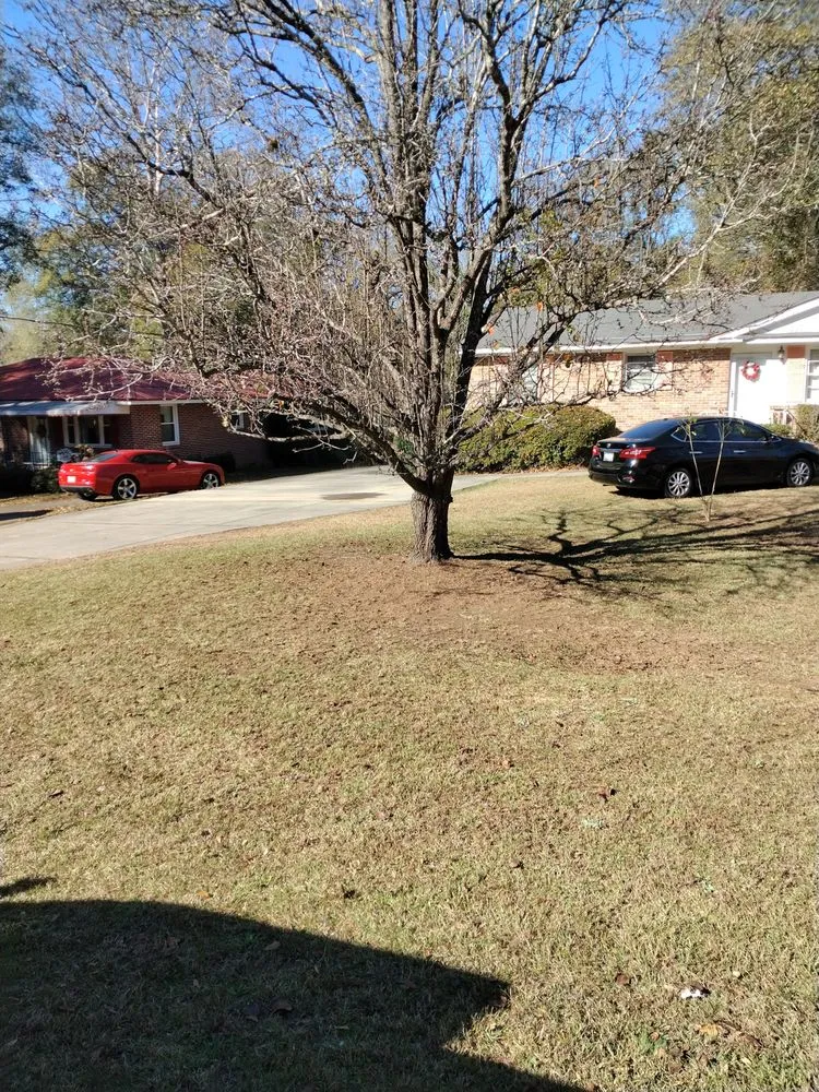 Custom yard maintenance experts serving Orangeburg, SC - Robinson Lawn Service