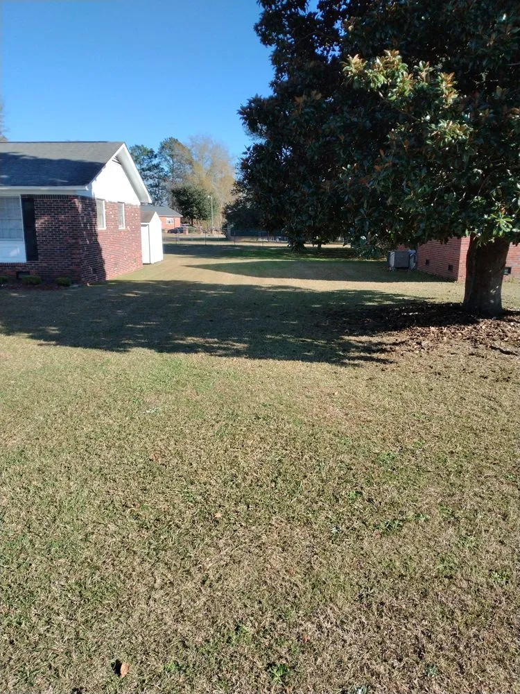 Local landscaping services experts serving Orangeburg, SC - Robinson Lawn Service
