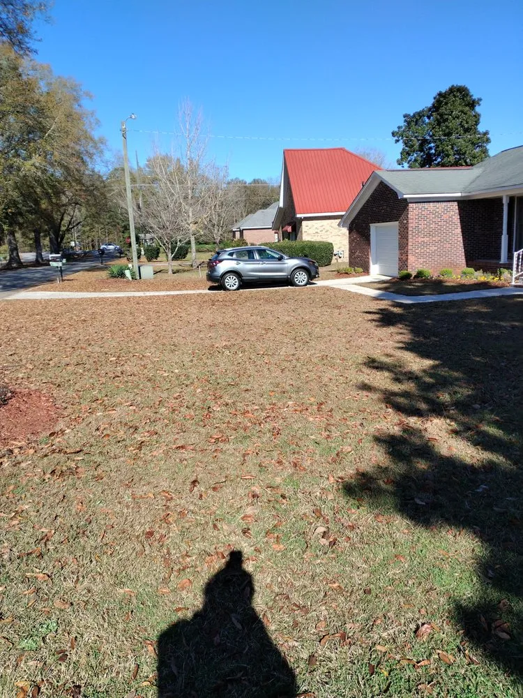 Top-rated landscaping services experts serving Orangeburg, SC - Robinson Lawn Service