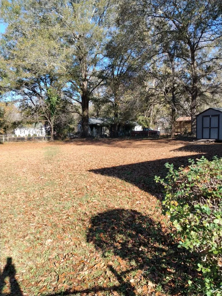 Top-rated landscape installation for residential properties in Orangeburg, SC by Robinson Lawn Service