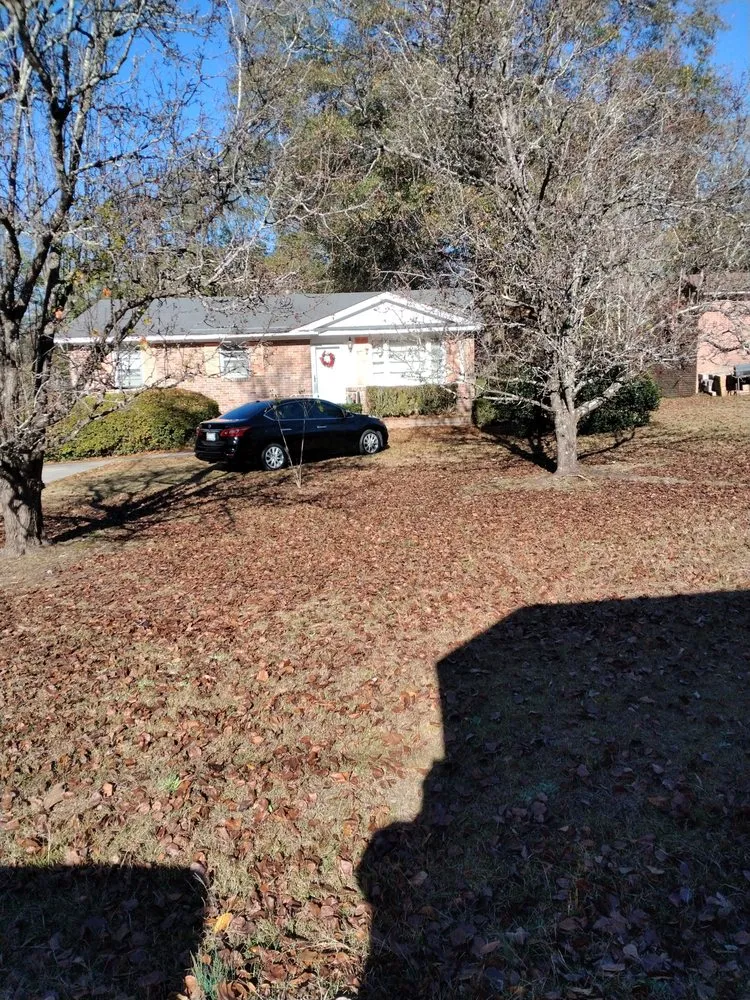 Affordable lawn care service in Orangeburg, SC by Robinson Lawn Service