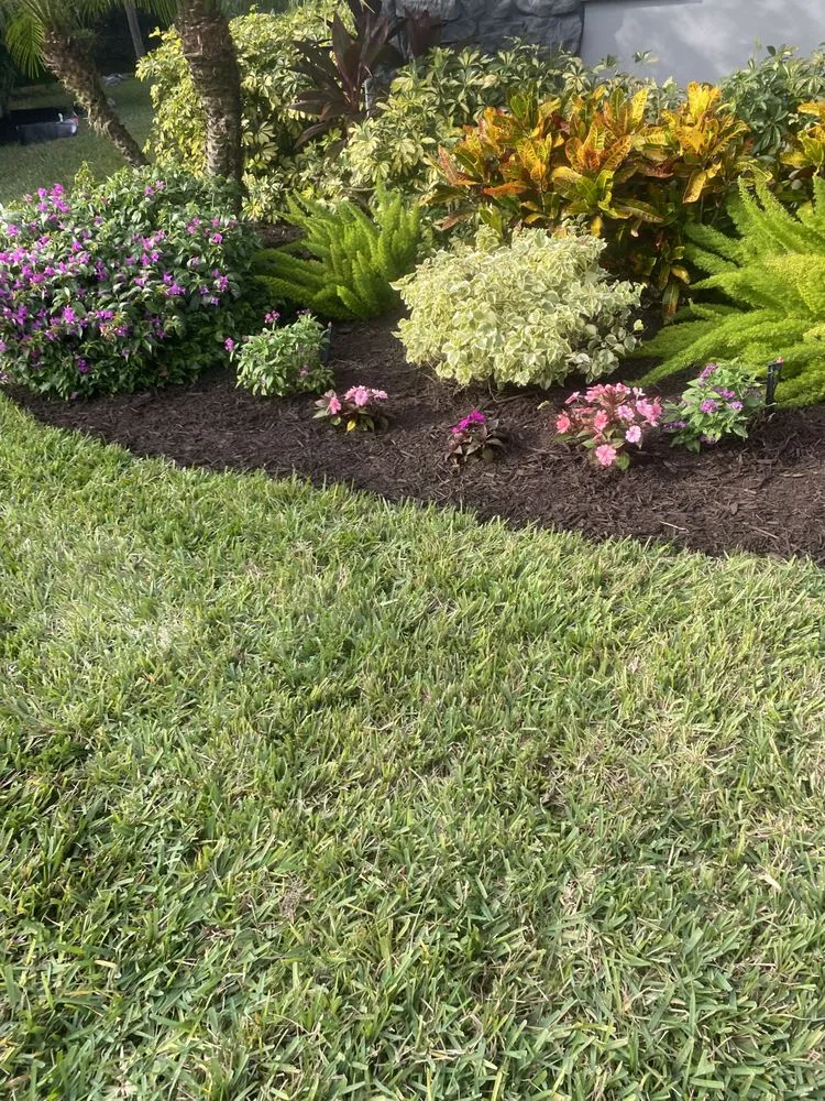 Top-rated yard cleanup service in Sarasota, FL by Robinson lawn services landscaping