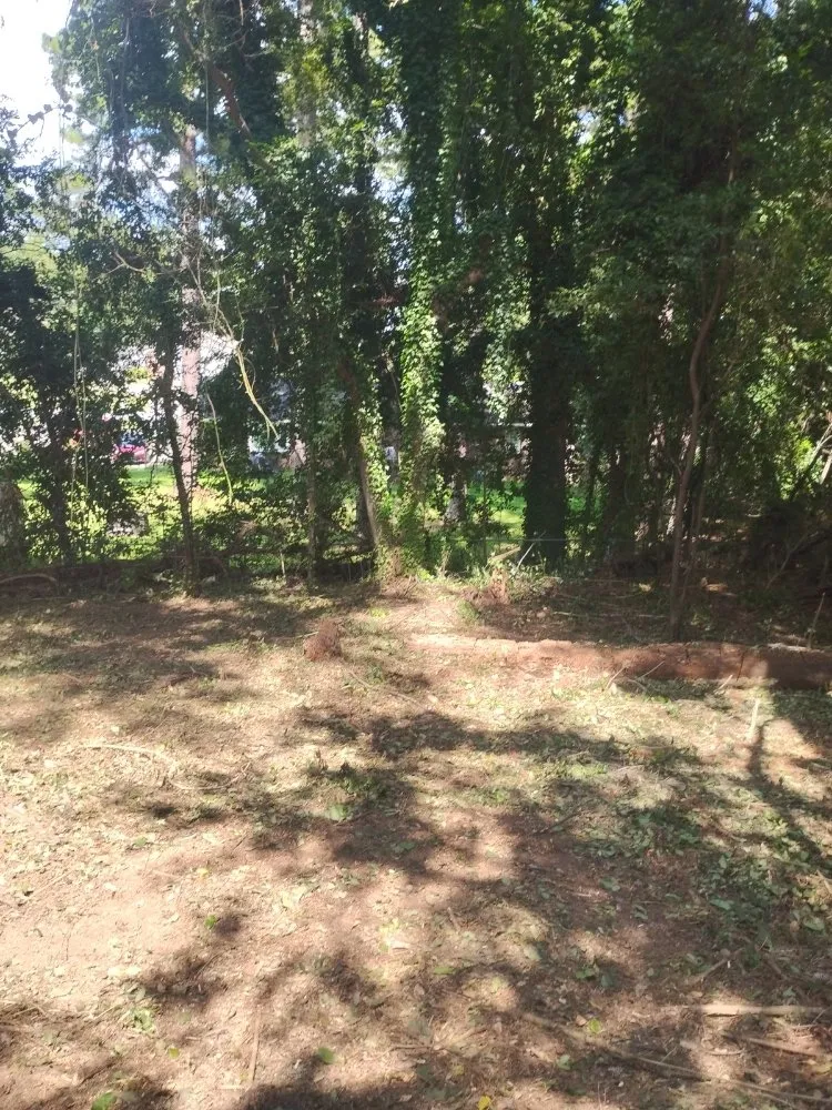 Trusted landscape installation in Macon, GA by Robinson Lawn Services