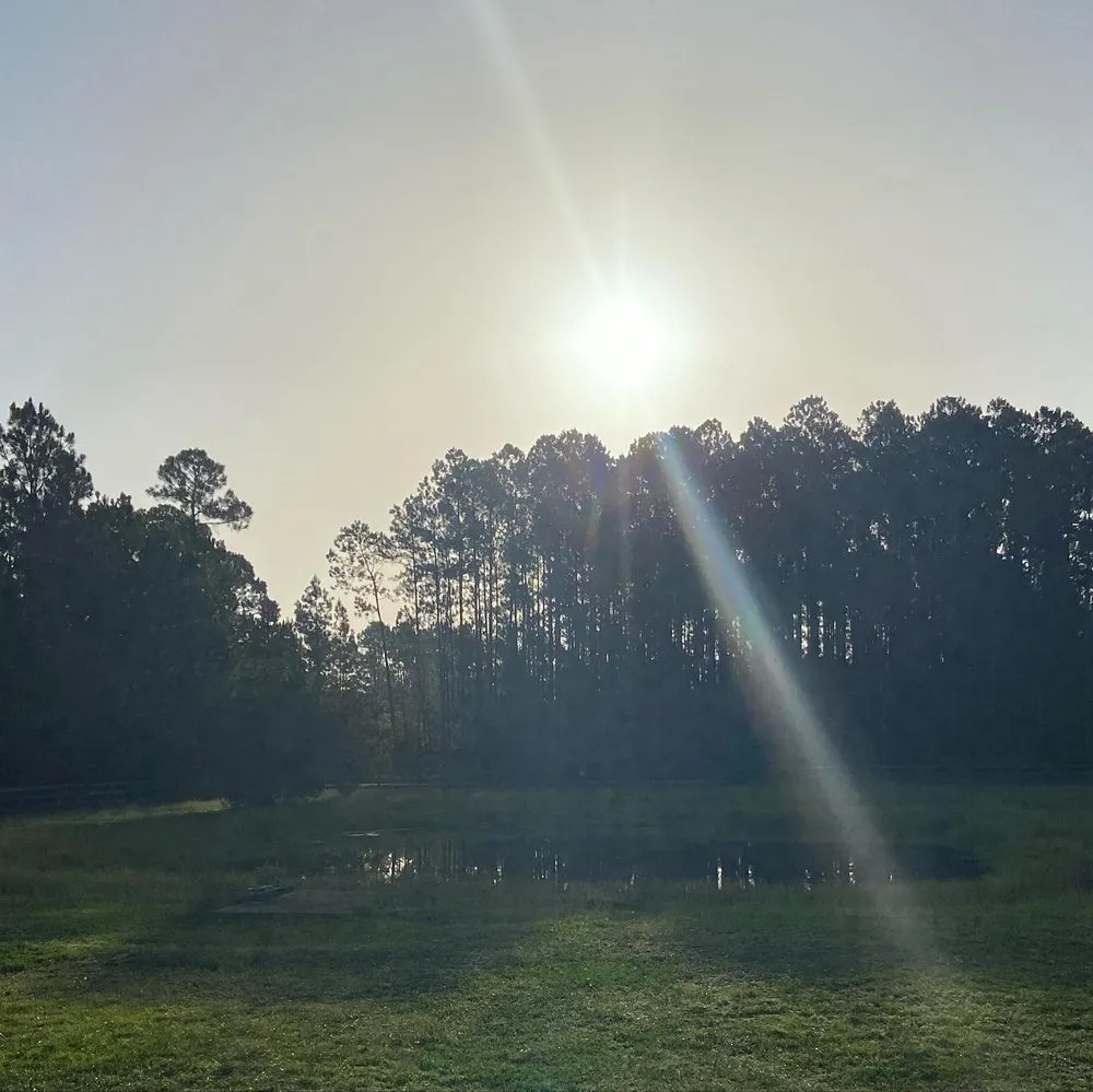 Professional landscape design in Glen Saint Mary, FL by Robinson lawncare &more