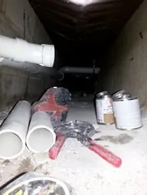 Custom lawn care service in Colorado Springs, CO - Robinson Maintenance & Repair