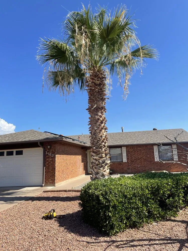 Expert landscape design in Alamogordo, NM by Robinson Services