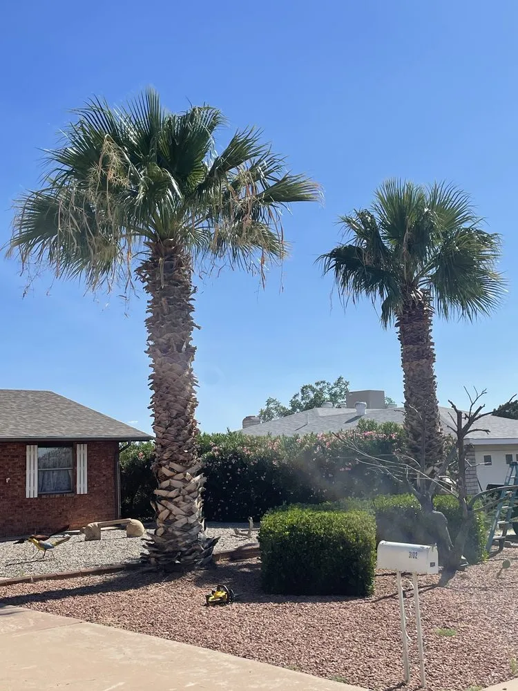 Trusted garden landscaping experts serving Alamogordo, NM - Robinson Services