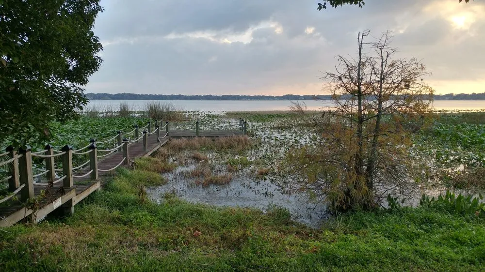 Affordable lawn care service experts serving Davenport, FL - Robinson Wetland