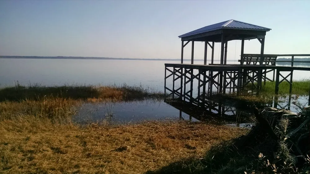 Trusted yard maintenance experts serving Davenport, FL - Robinson Wetland