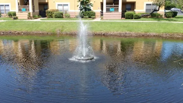 Robinson Wetland Logo