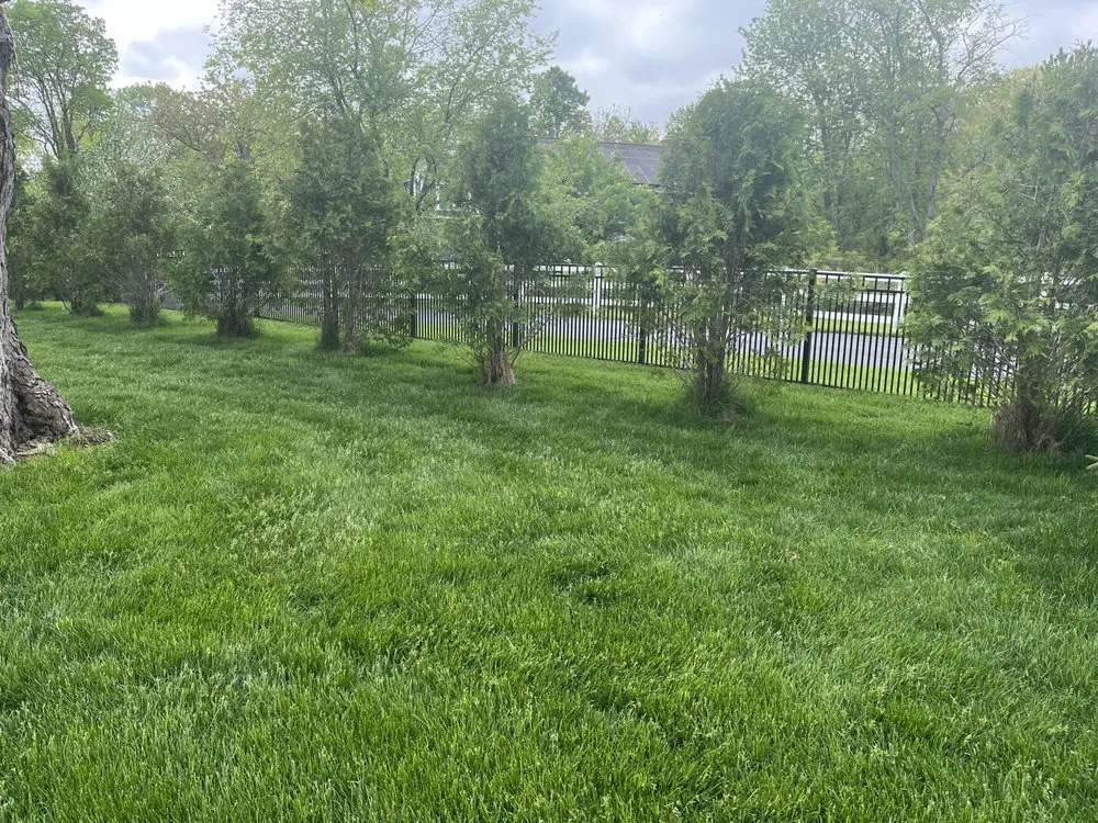 Local yard maintenance experts serving Portmouth, NH - Robinson's Landscape Construction