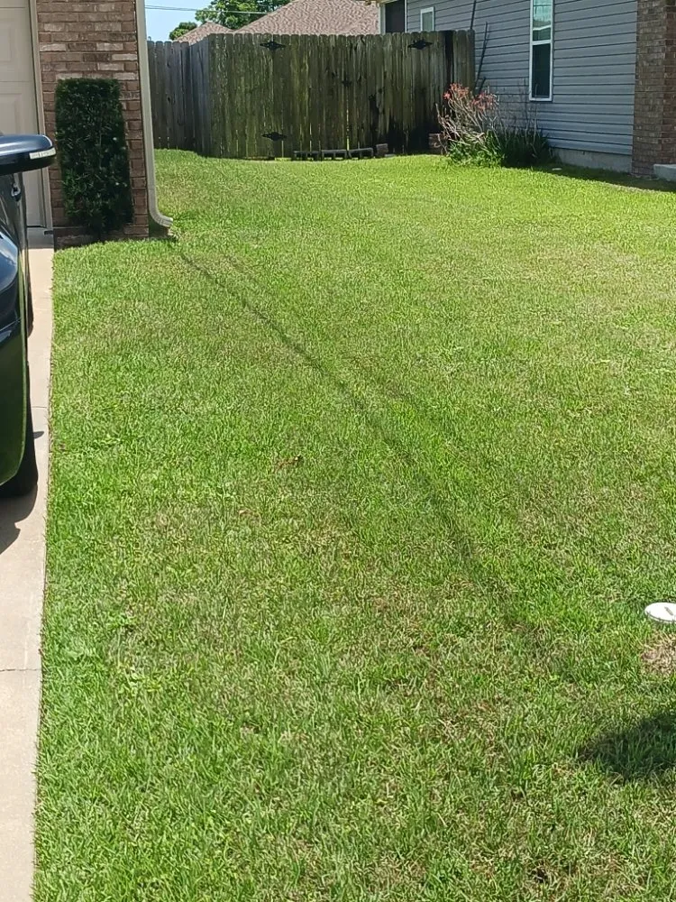 Trusted outdoor landscaping for year-round maintenance in Panama City, FL by Robinson's Lawn Care