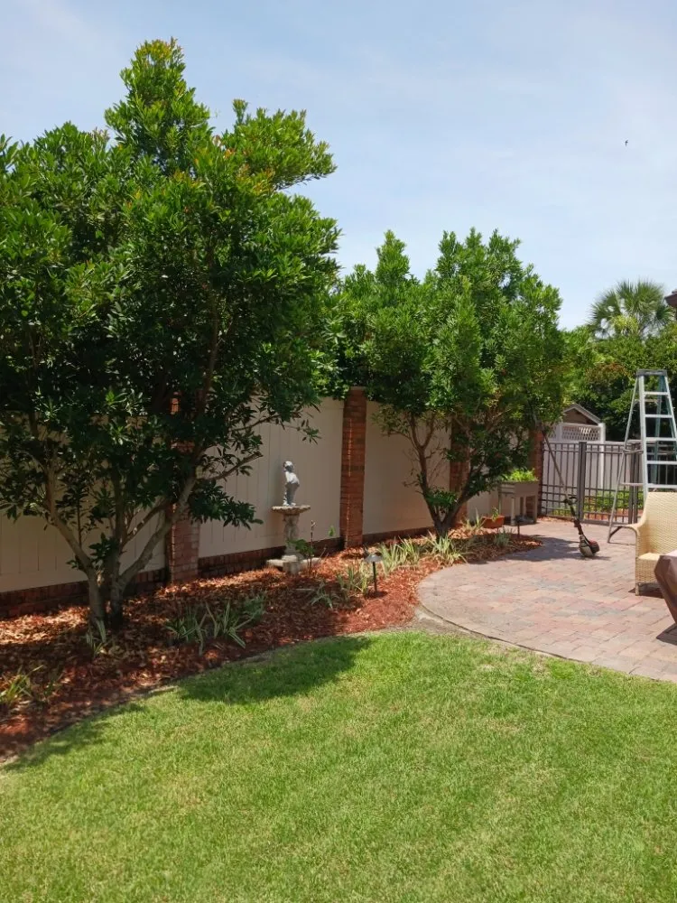 Top-rated landscape installation experts serving Panama City, FL - Robinson's Lawn Care