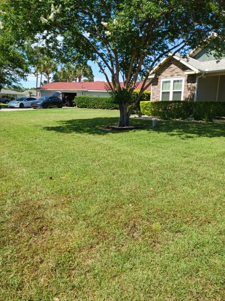 Expert residential landscaping in Panama City, FL - Robinson's Lawn Care