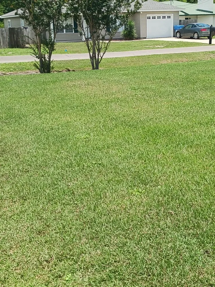 Reliable yard cleanup service for homes in Panama City, FL by Robinson's Lawn Care