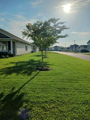 Robinson's Lawn Care Logo