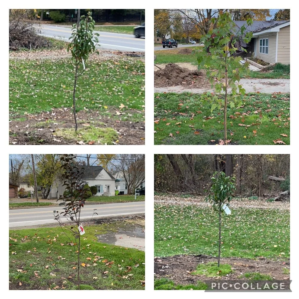 Local lawn mowing service for year-round maintenance in South Lyon, MI by Robinson’s Lawn Care