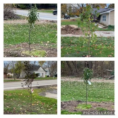 Robinson’s Lawn Care Logo