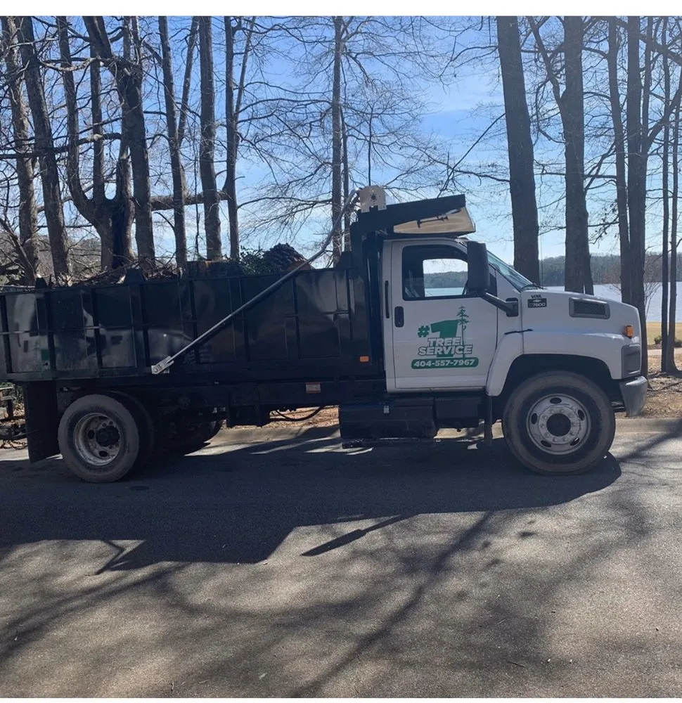Local outdoor landscaping experts serving Senoia, GA - Roble Tree Care