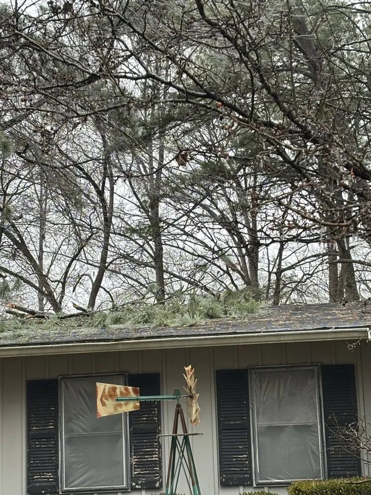 Affordable lawn care service in Senoia, GA - Roble Tree Care