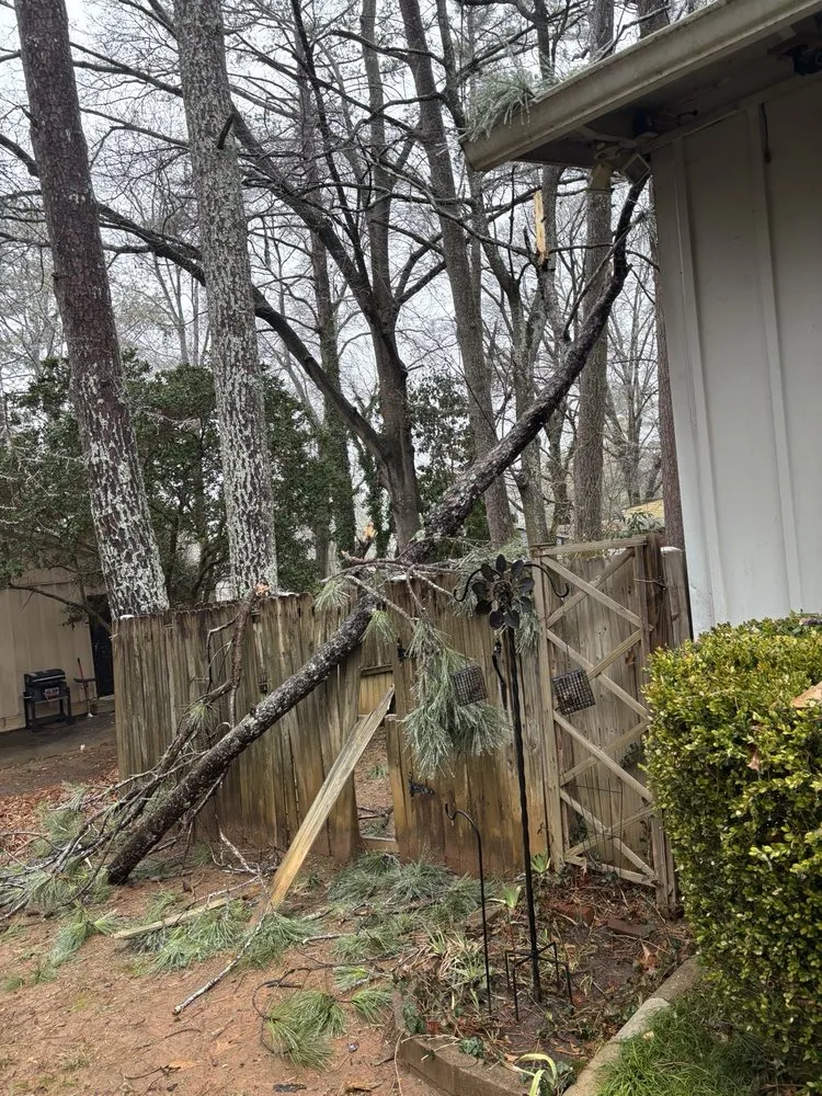 Reliable outdoor landscaping in Senoia, GA by Roble Tree Care