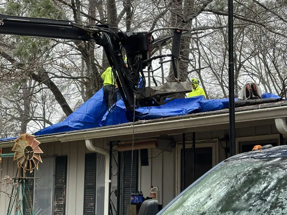 Expert outdoor landscaping experts serving Senoia, GA - Roble Tree Care