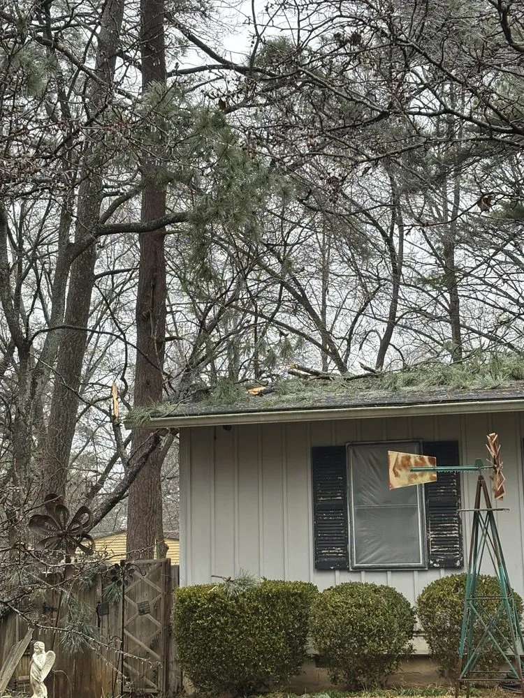 Expert yard maintenance in Senoia, GA by Roble Tree Care