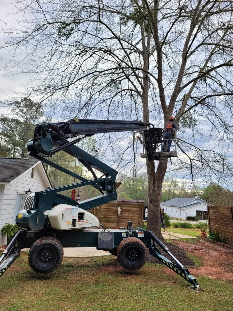 Expert lawn mowing service with custom design in Senoia, GA by Roble Tree Care