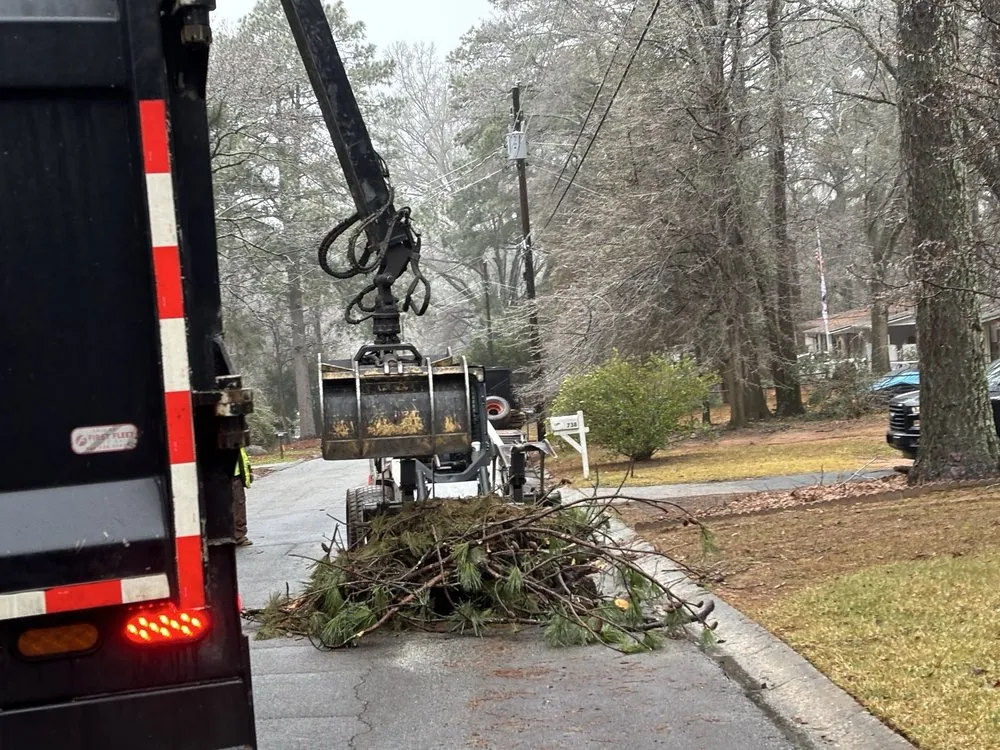 Local landscaping services for outdoor upgrades across Senoia, GA - Roble Tree Care