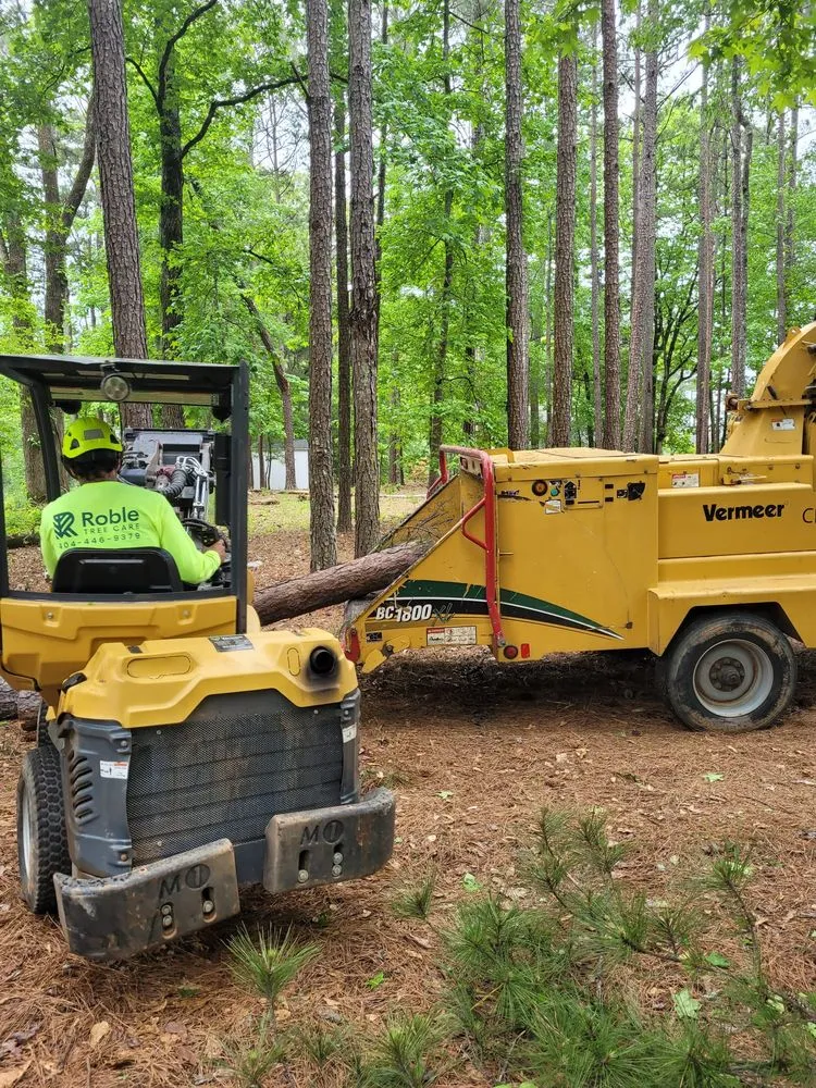 Reliable residential landscaping in Senoia, GA - Roble Tree Care