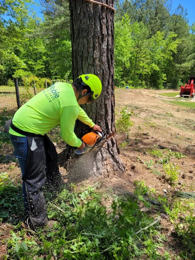 Professional residential landscaping for beautiful yards in Senoia, GA by Roble Tree Care