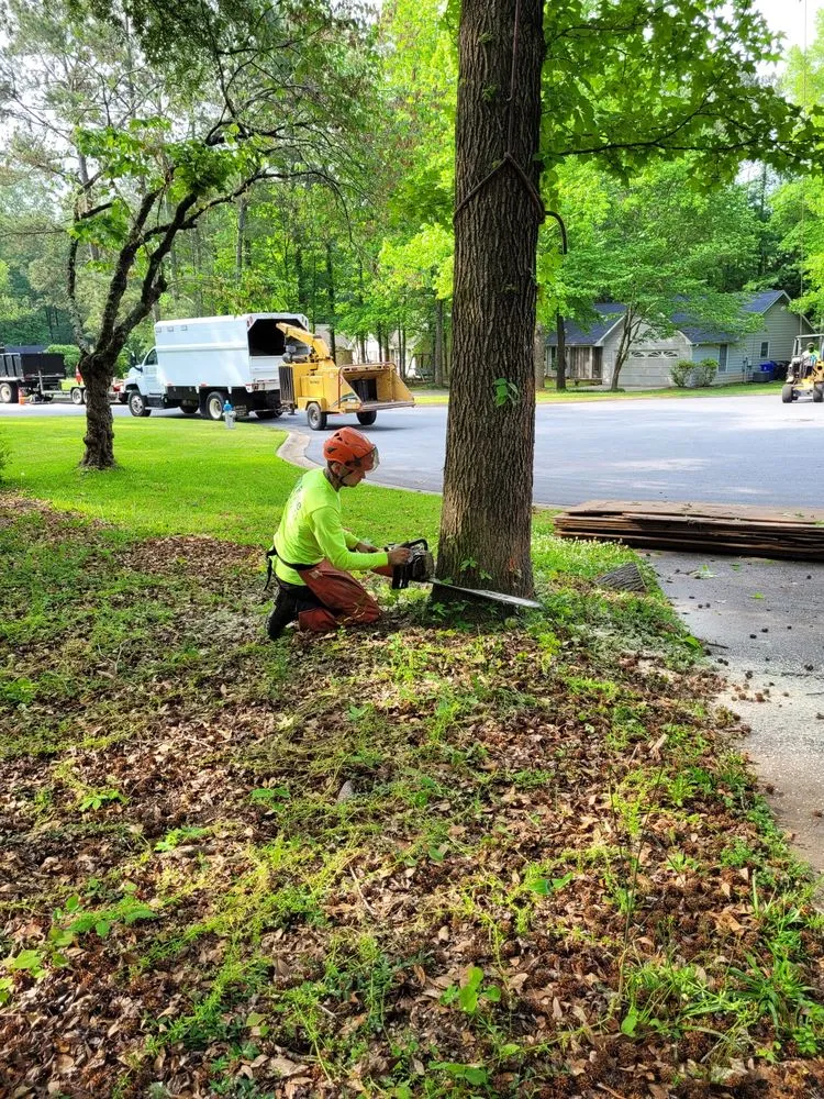 Top-rated residential landscaping for year-round maintenance in Senoia, GA by Roble Tree Care