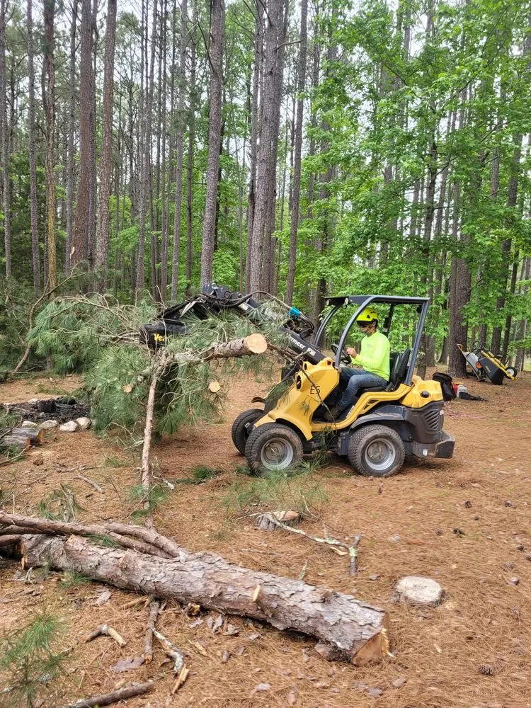 Top-rated lawn care service in Senoia, GA by Roble Tree Care