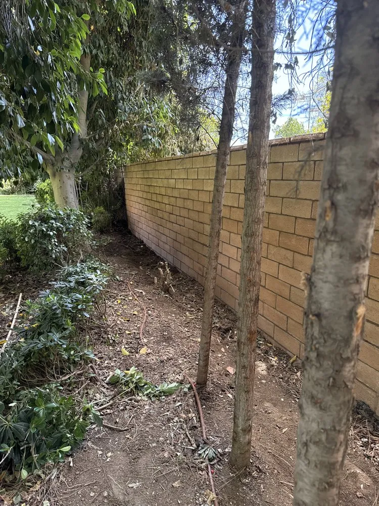 Top-rated outdoor landscaping in Wildomar, CA - Robles Hardscape