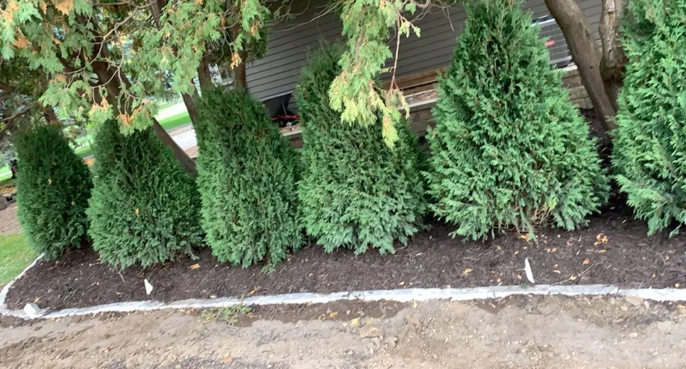 Trusted outdoor landscaping experts serving Worthington, OH - Robles Landscape & Property services