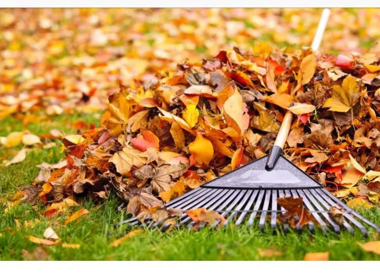 Reliable landscaping services in Worthington, OH - Robles Landscape & Property services