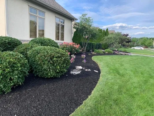 Robles Landscape & Property services