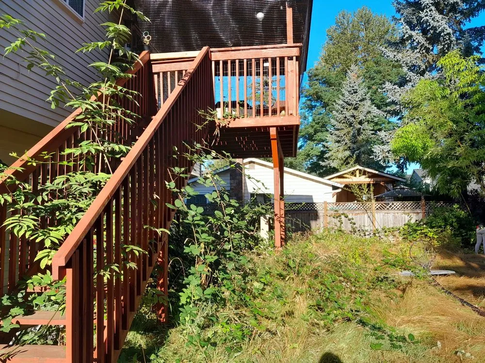 Top-rated yard cleanup service in Lake Stevens, WA - Robles Landscaping and Construction