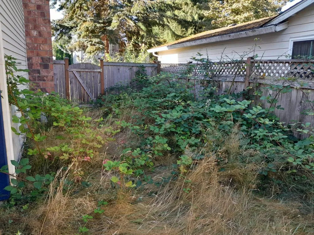 Affordable outdoor landscaping in Lake Stevens, WA - Robles Landscaping and Construction