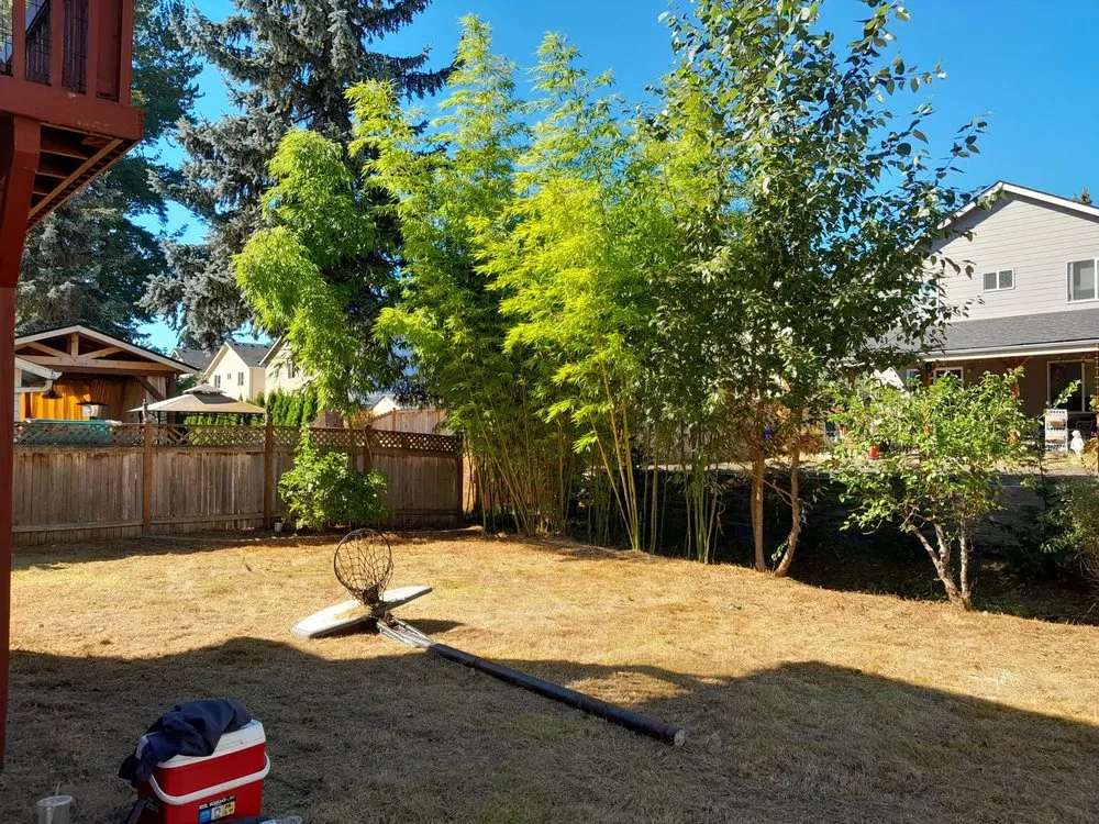 Affordable yard maintenance in Lake Stevens, WA by Robles Landscaping and Construction