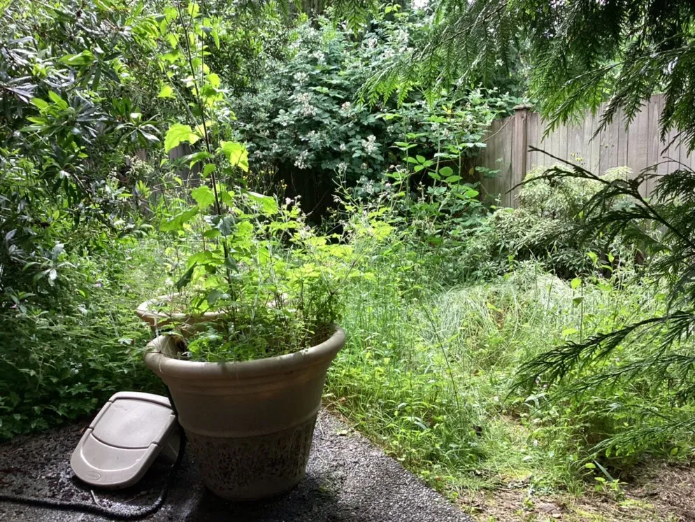 Trusted lawn care service in Mount Vernon, WA by Robles Landscaping