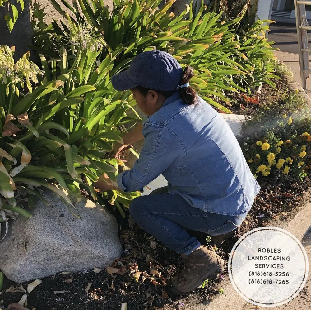Trusted residential landscaping for residential properties in San Fernando Valley, CA by Robles Landscaping Services
