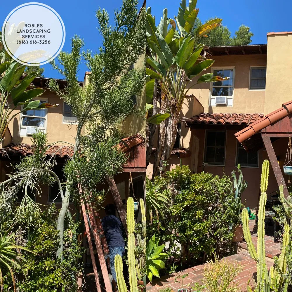 Trusted lawn care service with custom design across San Fernando Valley, CA - Robles Landscaping Services