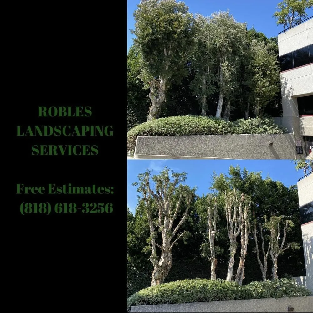 Local garden landscaping in San Fernando Valley, CA by Robles Landscaping Services