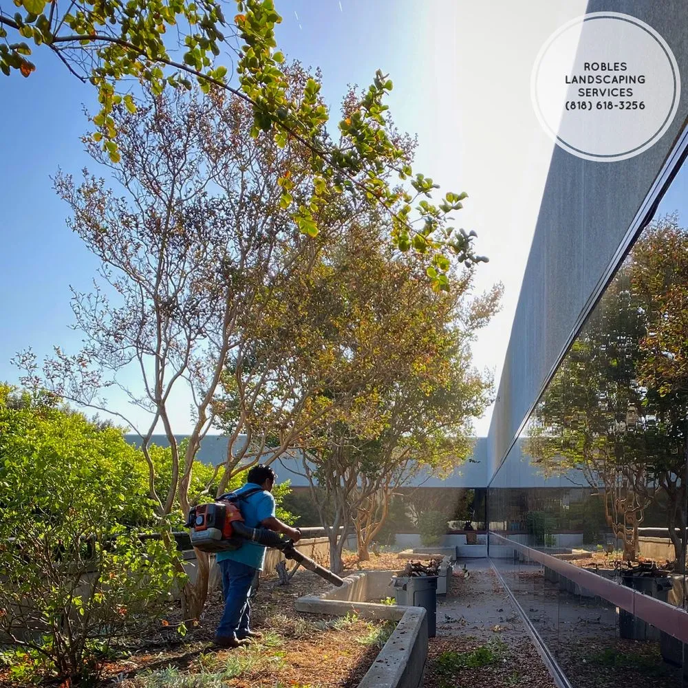 Custom yard cleanup service for residential properties across San Fernando Valley, CA - Robles Landscaping Services