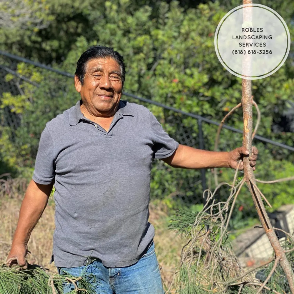 Expert residential landscaping in San Fernando Valley, CA - Robles Landscaping Services