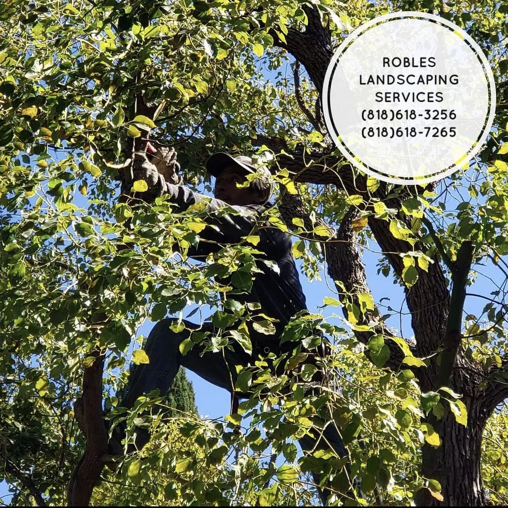 Professional garden landscaping experts serving San Fernando Valley, CA - Robles Landscaping Services